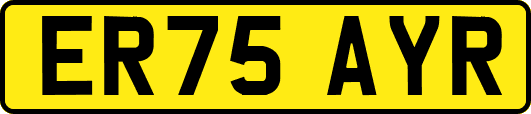 ER75AYR