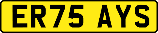ER75AYS