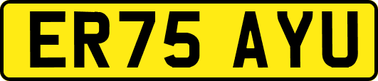 ER75AYU