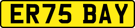 ER75BAY