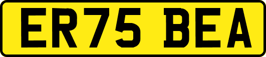 ER75BEA