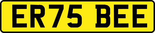 ER75BEE