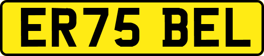 ER75BEL