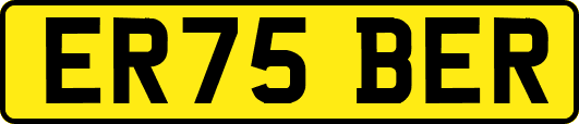 ER75BER