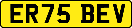 ER75BEV