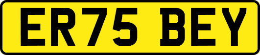 ER75BEY