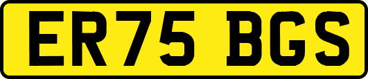 ER75BGS
