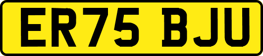 ER75BJU