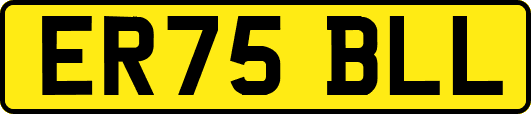 ER75BLL