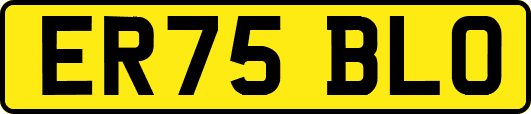 ER75BLO