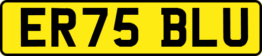 ER75BLU