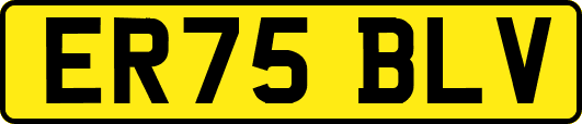 ER75BLV