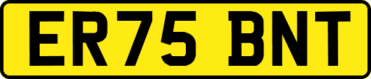 ER75BNT
