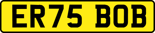 ER75BOB