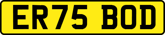 ER75BOD