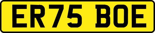 ER75BOE