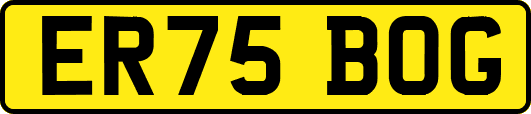 ER75BOG