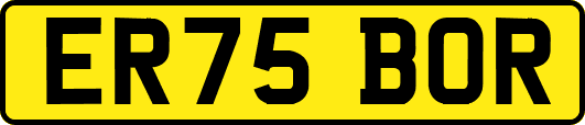ER75BOR
