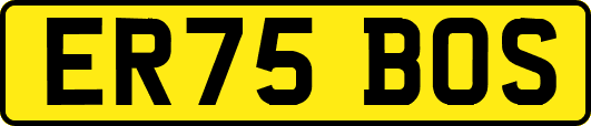 ER75BOS