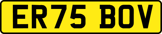 ER75BOV