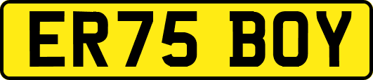 ER75BOY