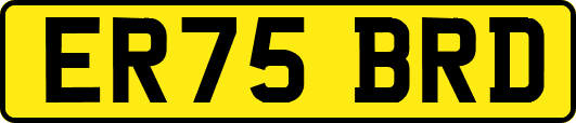 ER75BRD