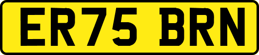 ER75BRN