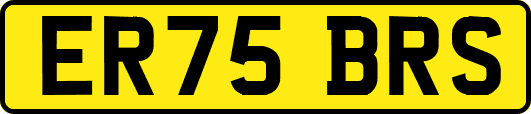 ER75BRS