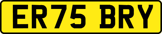 ER75BRY