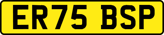ER75BSP