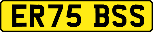ER75BSS