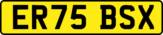 ER75BSX