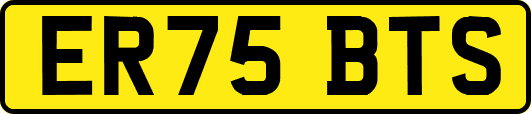 ER75BTS