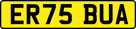 ER75BUA