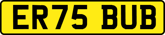 ER75BUB