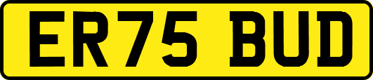 ER75BUD