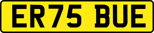 ER75BUE