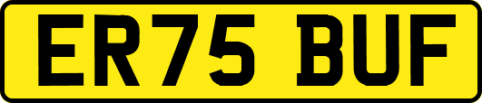 ER75BUF