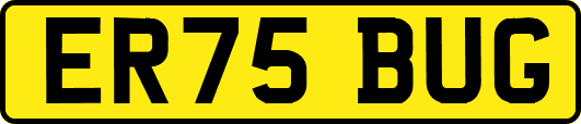 ER75BUG