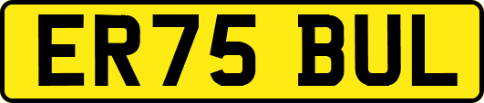 ER75BUL