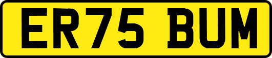 ER75BUM