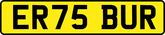 ER75BUR