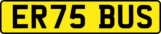 ER75BUS