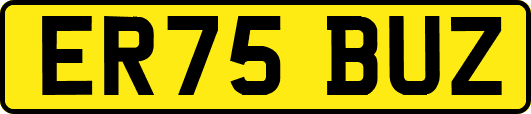 ER75BUZ