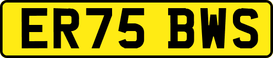ER75BWS