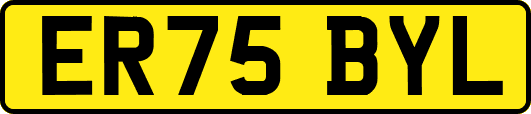 ER75BYL