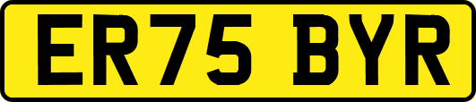 ER75BYR