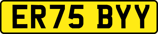 ER75BYY