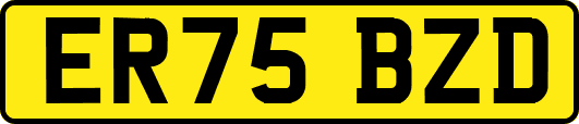 ER75BZD