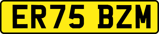 ER75BZM